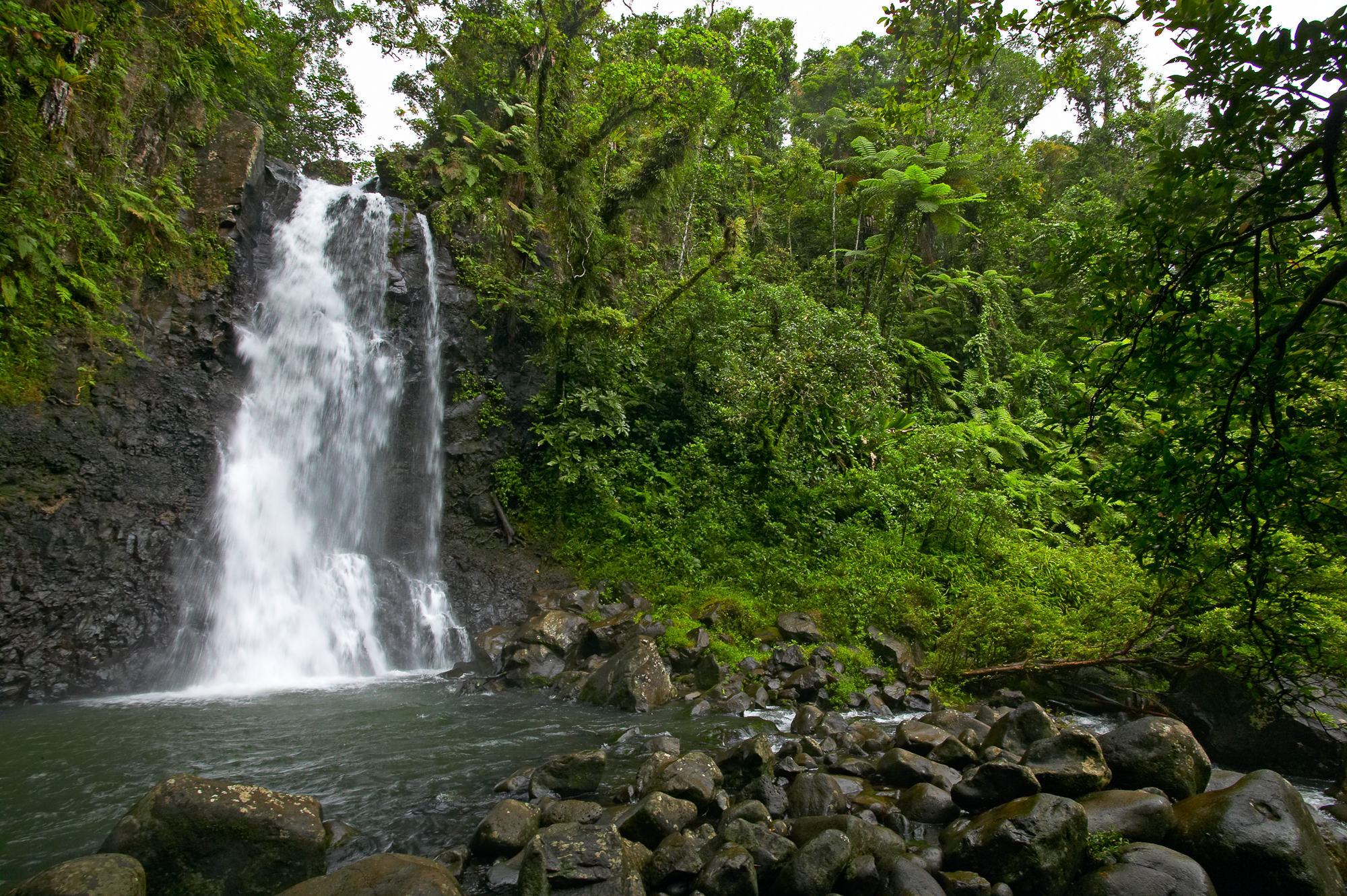 Wasserfall im Regenwald von Taveuni
