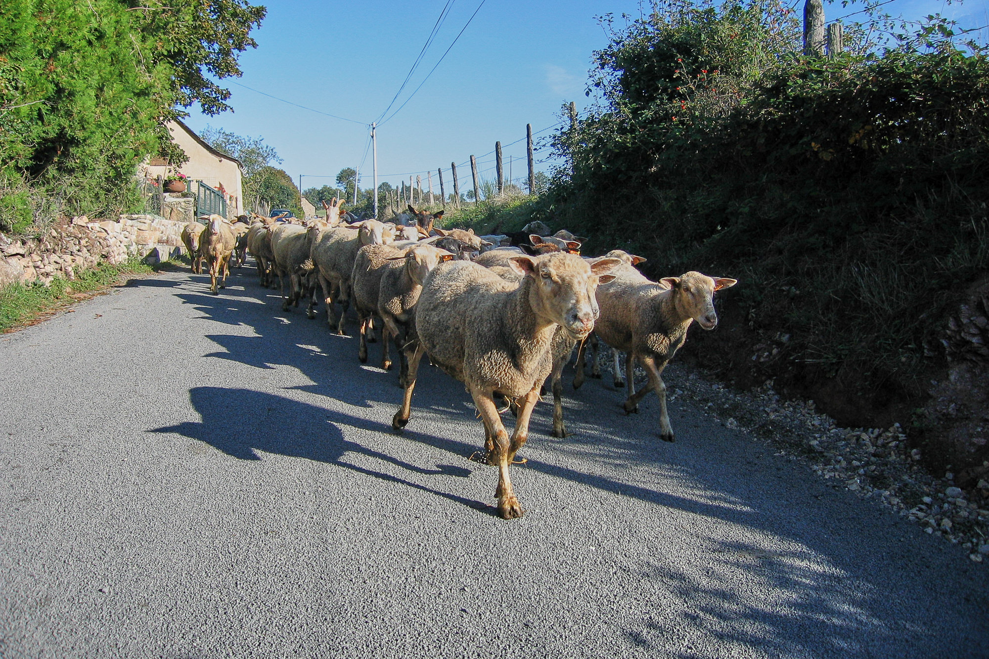 Tag 5: Von Estaing nach Espeyrac