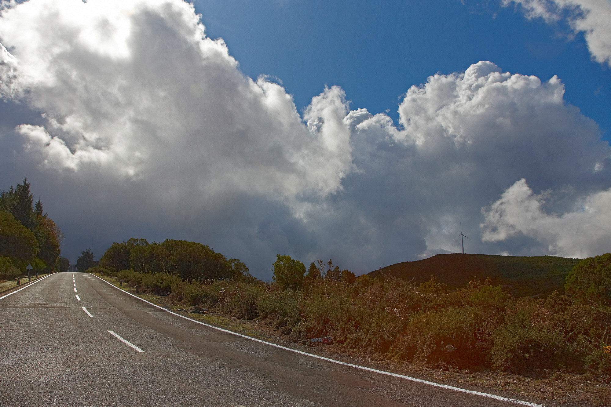 durch das Inselinnere im November