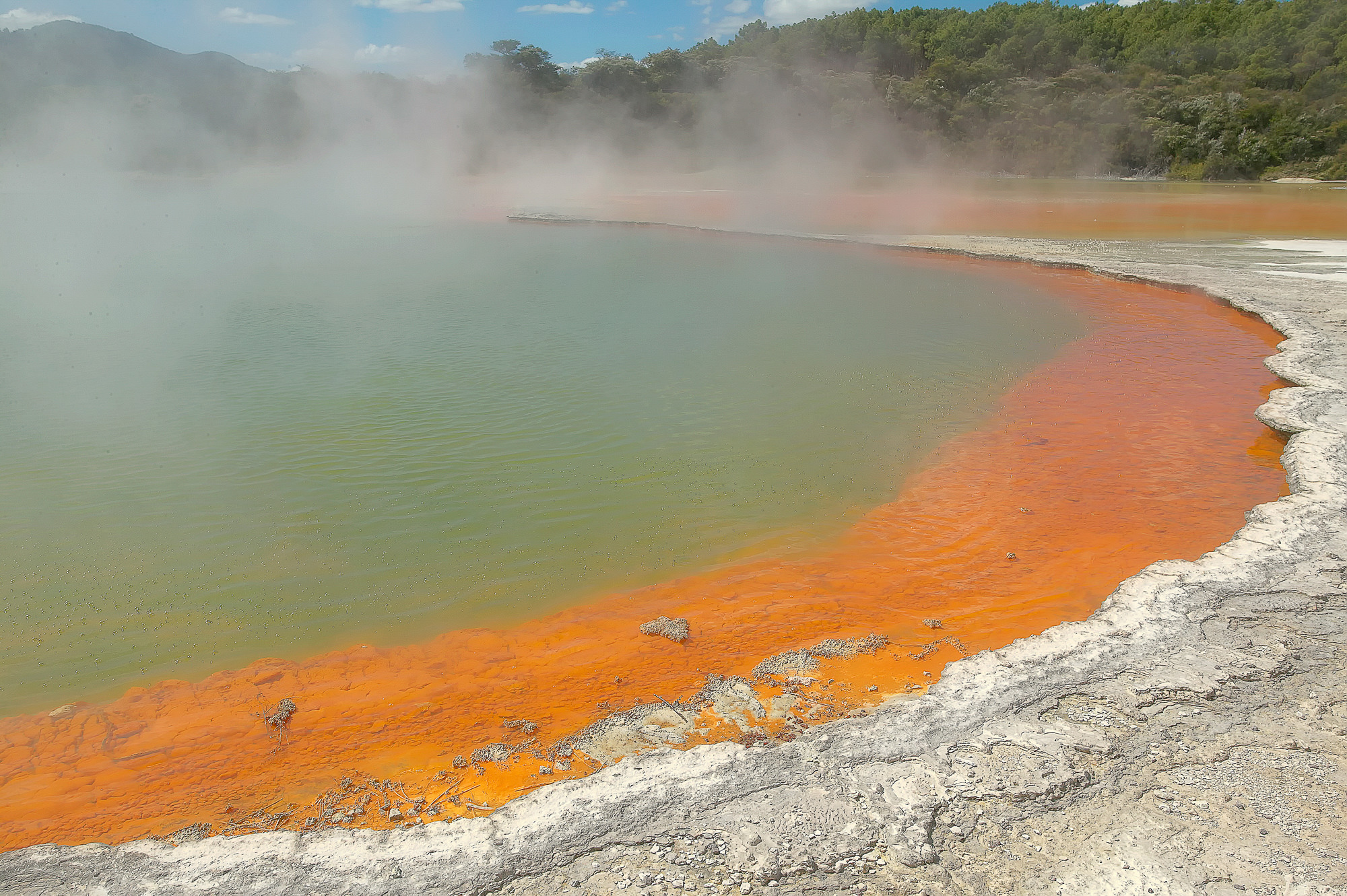 Rotorua, Champagner Pool