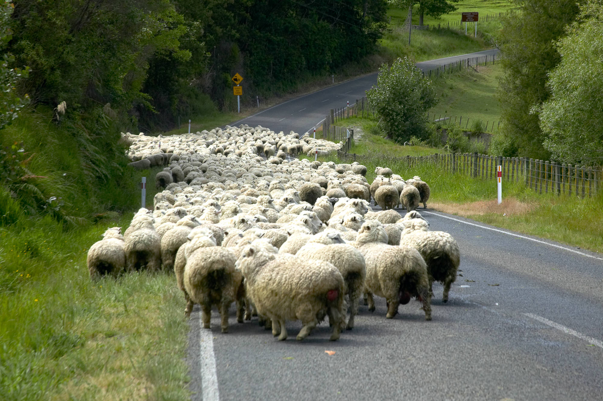 typische Straßenscene