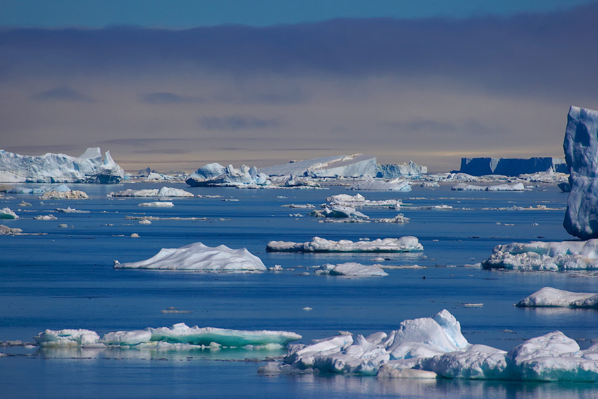 iceberg in the Antarctic Sound