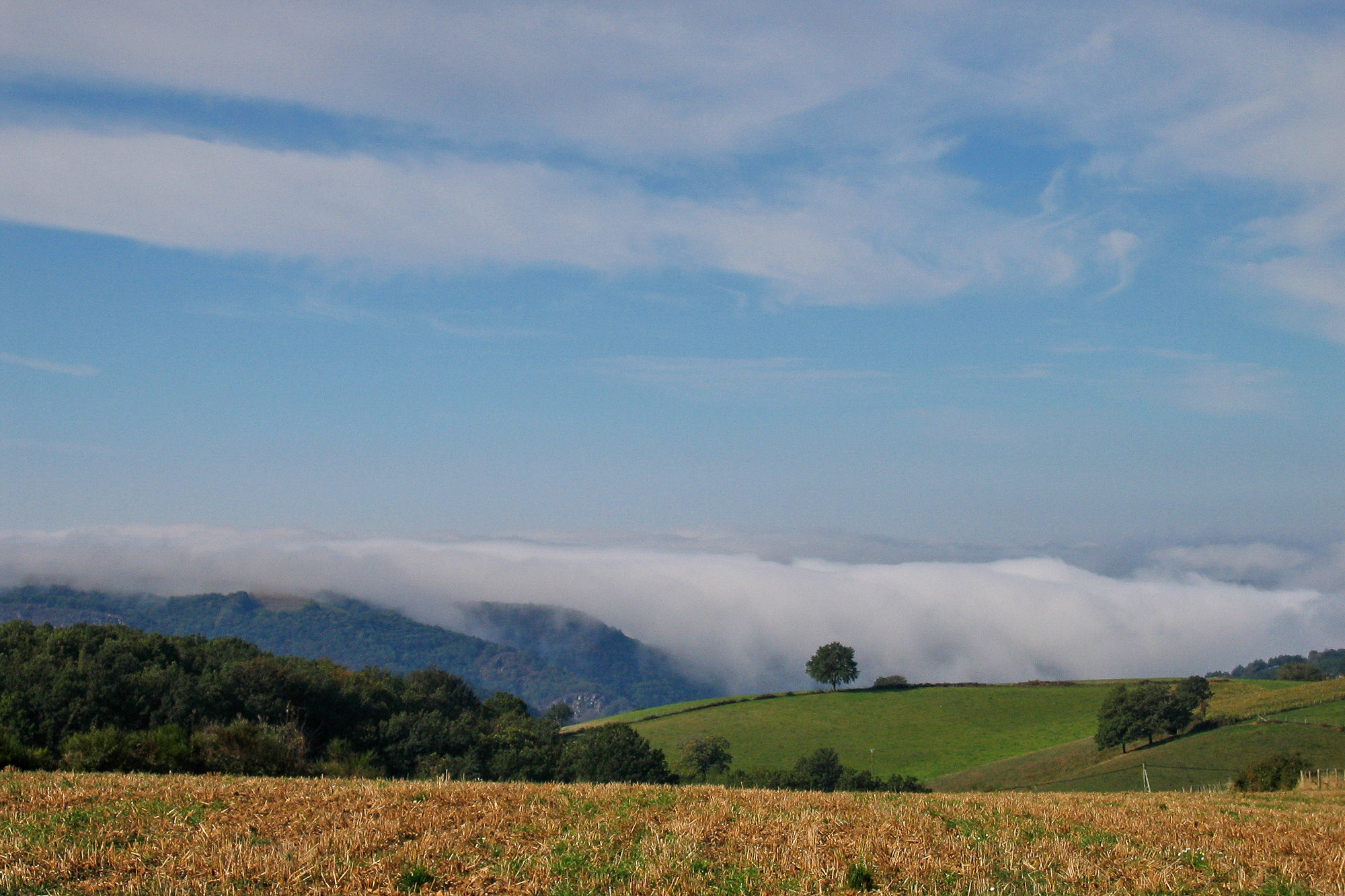 Day 6: From Espeyrac to Conques