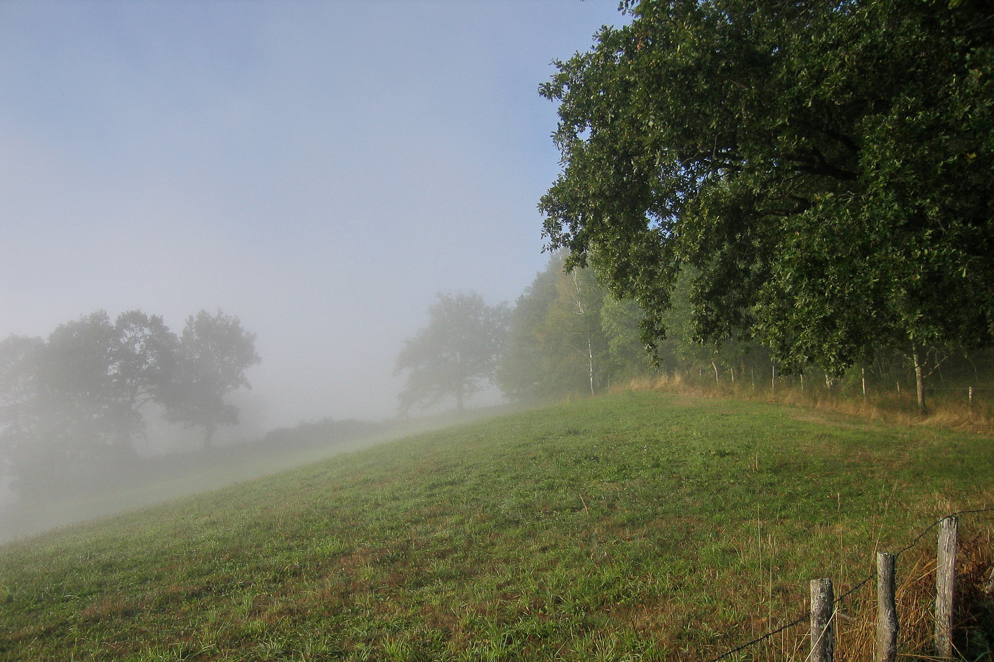 Day 6: From Espeyrac to Conques